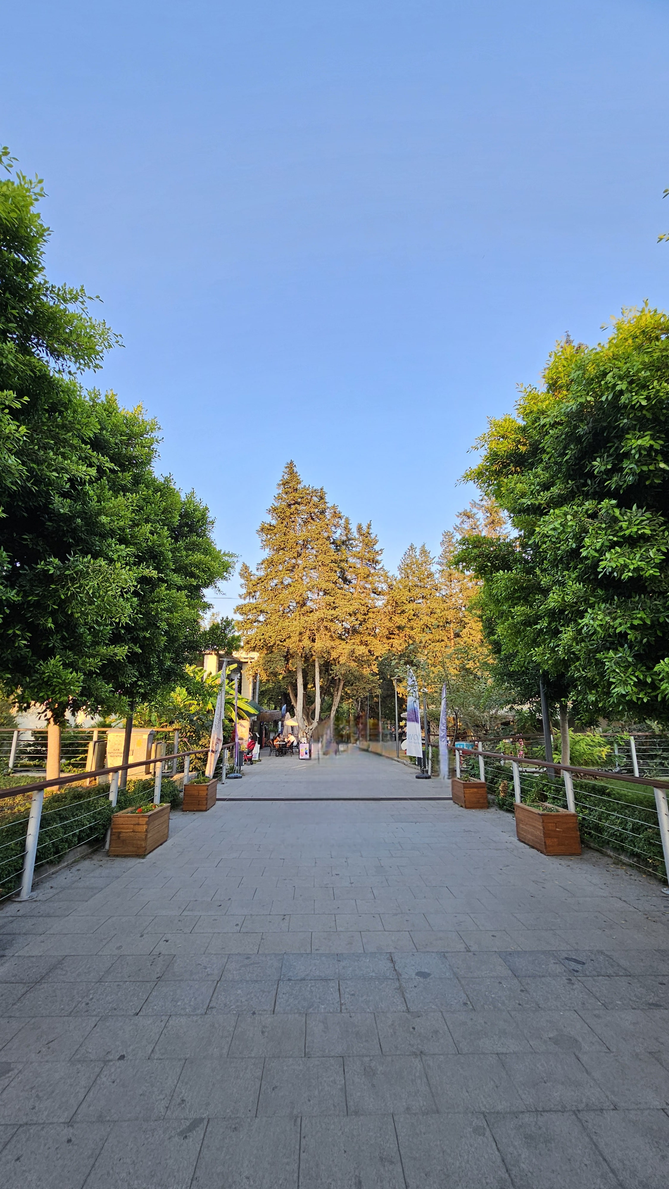 Sade, sessiz ve sakince