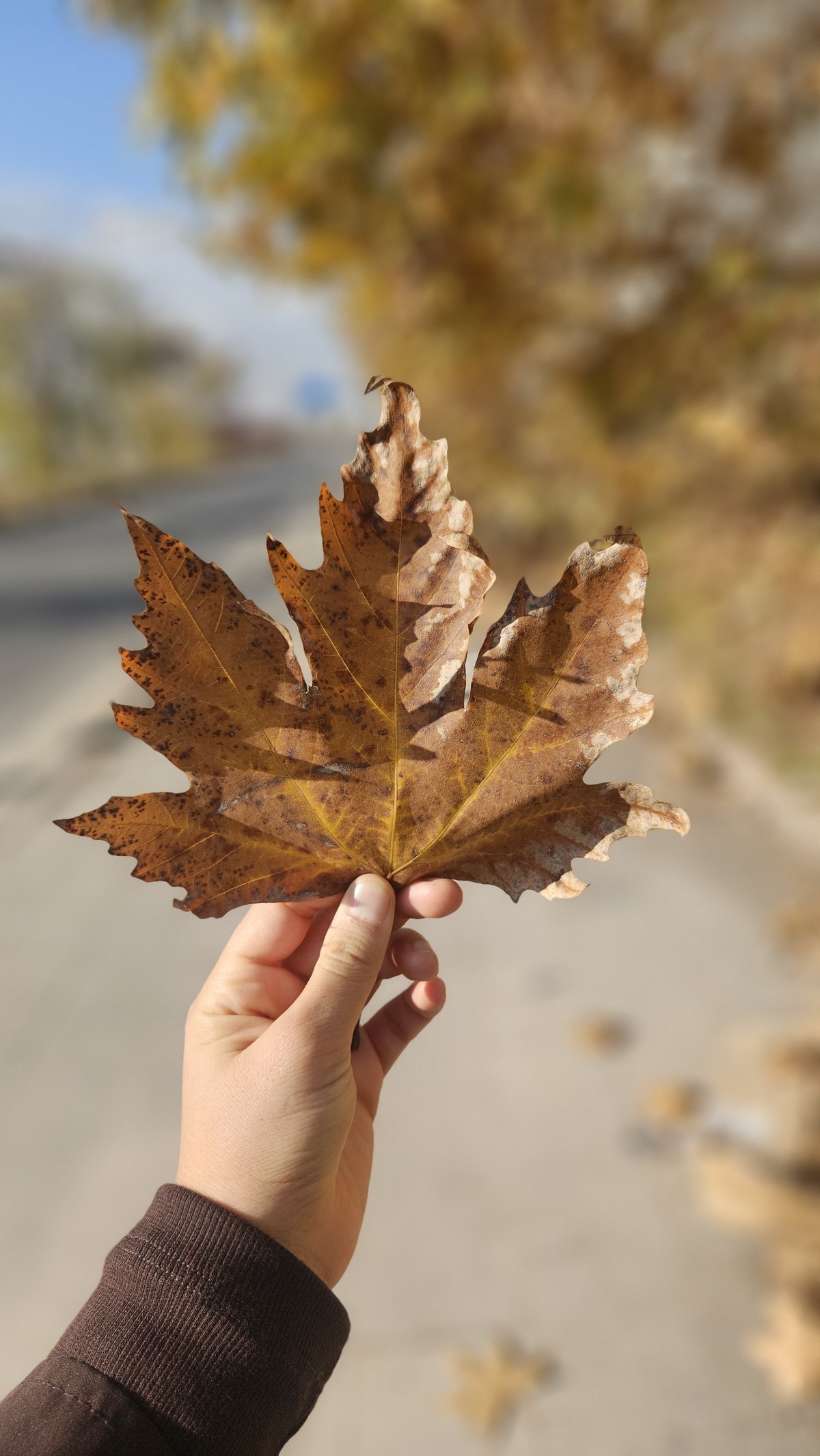 Hakikati görebilmenin bin bir yolu olsa da hepsinin ihtiyacı aydınlık bir nazardır🍂