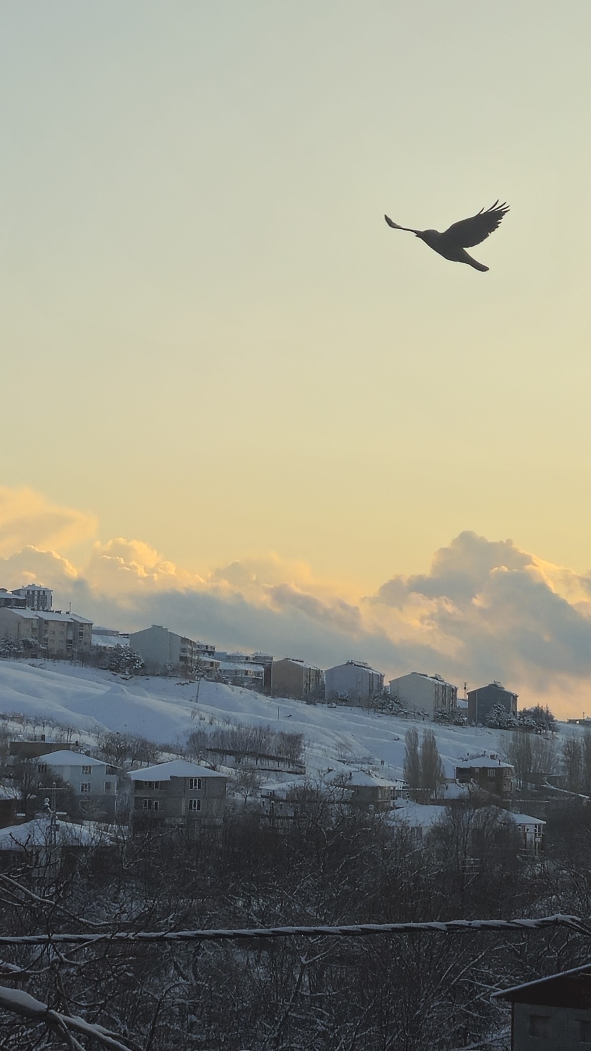 Sessiz tınılara bıraktım gönül kafesimi...